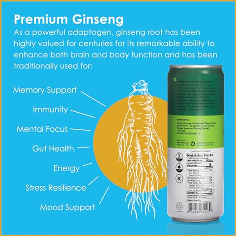 Bear Maple Farms - Clean Soda with Ginseng, Yuzu Citrus - 12 fl oz