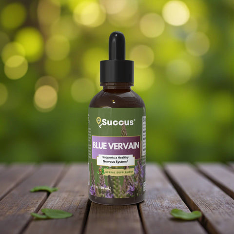 Succus - Blue Vervain Tincture Alcohol Free - 1 fl oz
