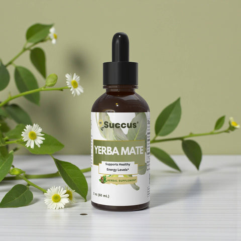 Succus - Yerba Mate Tincture Alcohol-Free - 1 fl oz