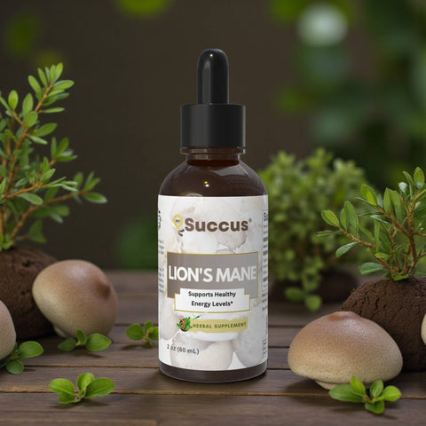 Succus - Lion’s Mane Tincture Alcohol-Free - 1 fl oz
