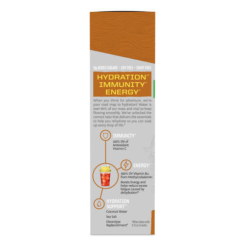Sunwarrior - Juicy Pineapple Active Hydration Sticks - 18 Sticks