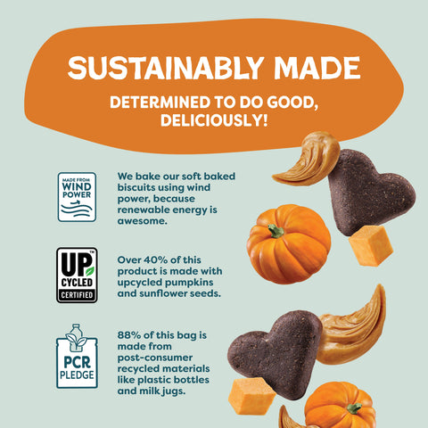 Shameless Pets - Pumpkin Nut Par-tay Soft Baked Dog Treats - 6 oz