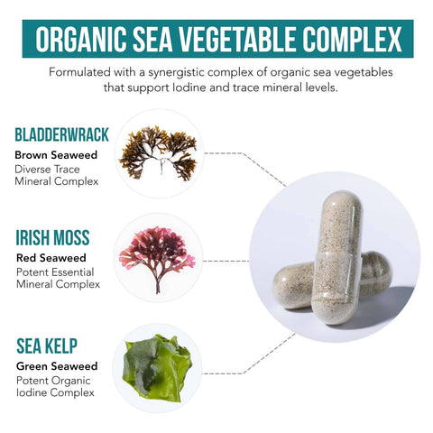 Triquetra Health - Whole-Food Plant Iodine - 250 mg - 60 Vegan Capsules